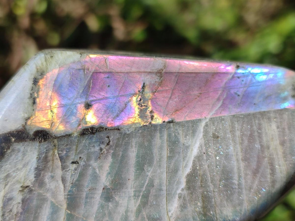 Polished Rare Purple Sunset Flash Labradorite Standing Display Pieces x 2 From Madagascar - Toprock Gemstones and Minerals 