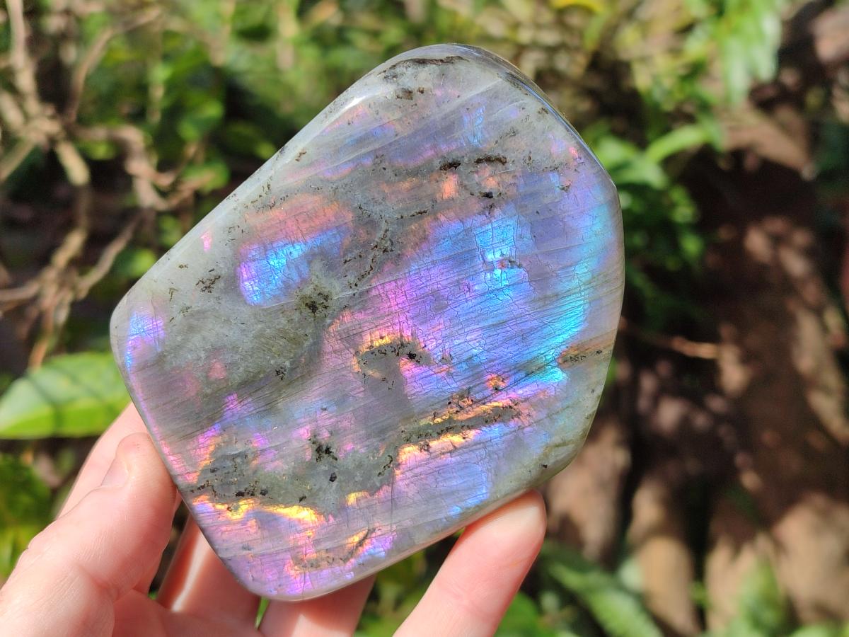 Polished Rare Purple Sunset Flash Labradorite Standing Display Pieces x 2 From Madagascar - Toprock Gemstones and Minerals 