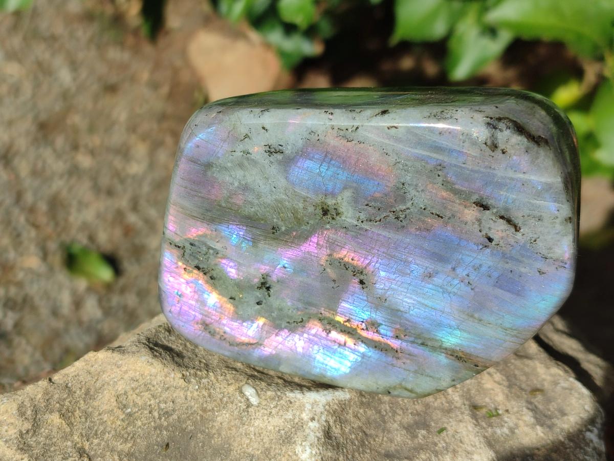 Polished Rare Purple Sunset Flash Labradorite Standing Display Pieces x 2 From Madagascar - Toprock Gemstones and Minerals 