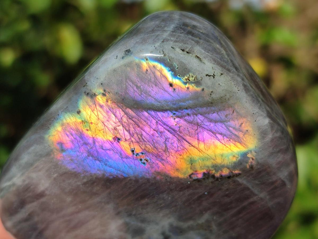 Polished Rare Purple Sunset Flash Labradorite Standing Display Pieces x 2 From Madagascar - Toprock Gemstones and Minerals 