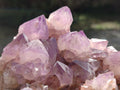Natural Cabinet Spirit Amethyst Clusters x 2 From Boekenhouthoek, South Africa - Toprock Gemstones and Minerals 