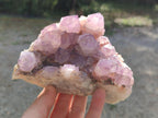 Natural Cabinet Spirit Amethyst Clusters x 2 From Boekenhouthoek, South Africa - Toprock Gemstones and Minerals 