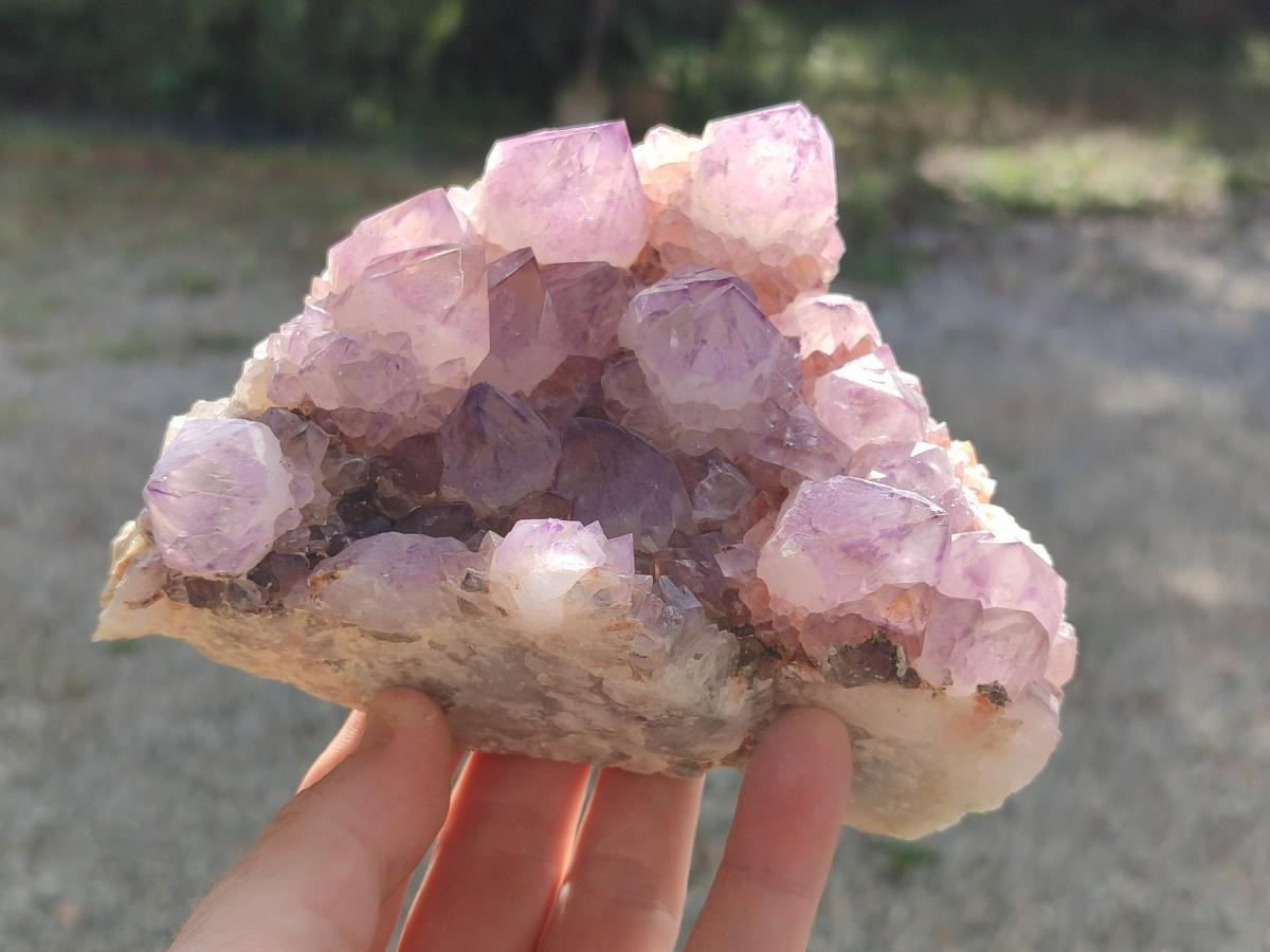 Natural Cabinet Spirit Amethyst Clusters x 2 From Boekenhouthoek, South Africa - Toprock Gemstones and Minerals 