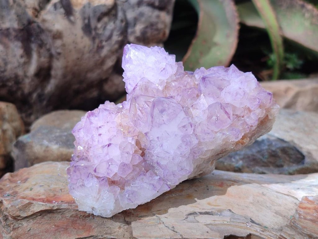 Natural Cabinet Spirit Amethyst Clusters x 2 From Boekenhouthoek, South Africa - Toprock Gemstones and Minerals 