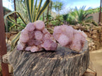 Natural Cabinet Spirit Amethyst Clusters x 2 From Boekenhouthoek, South Africa - Toprock Gemstones and Minerals 