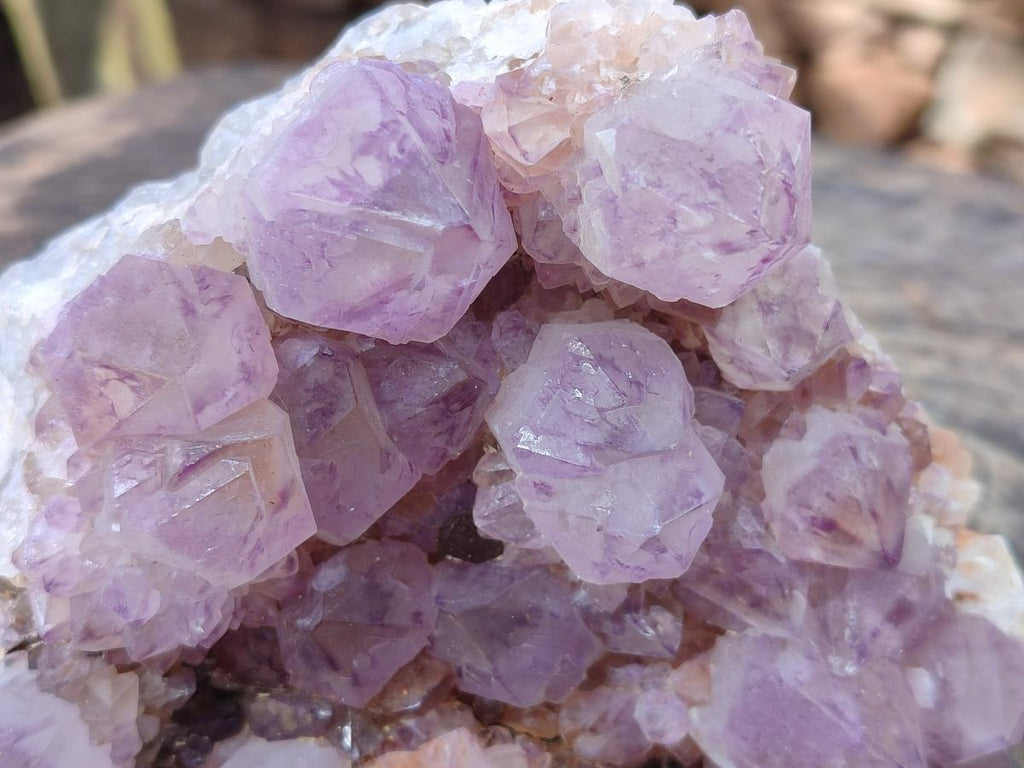 Natural Cabinet Spirit Amethyst Clusters x 2 From Boekenhouthoek, South Africa - Toprock Gemstones and Minerals 