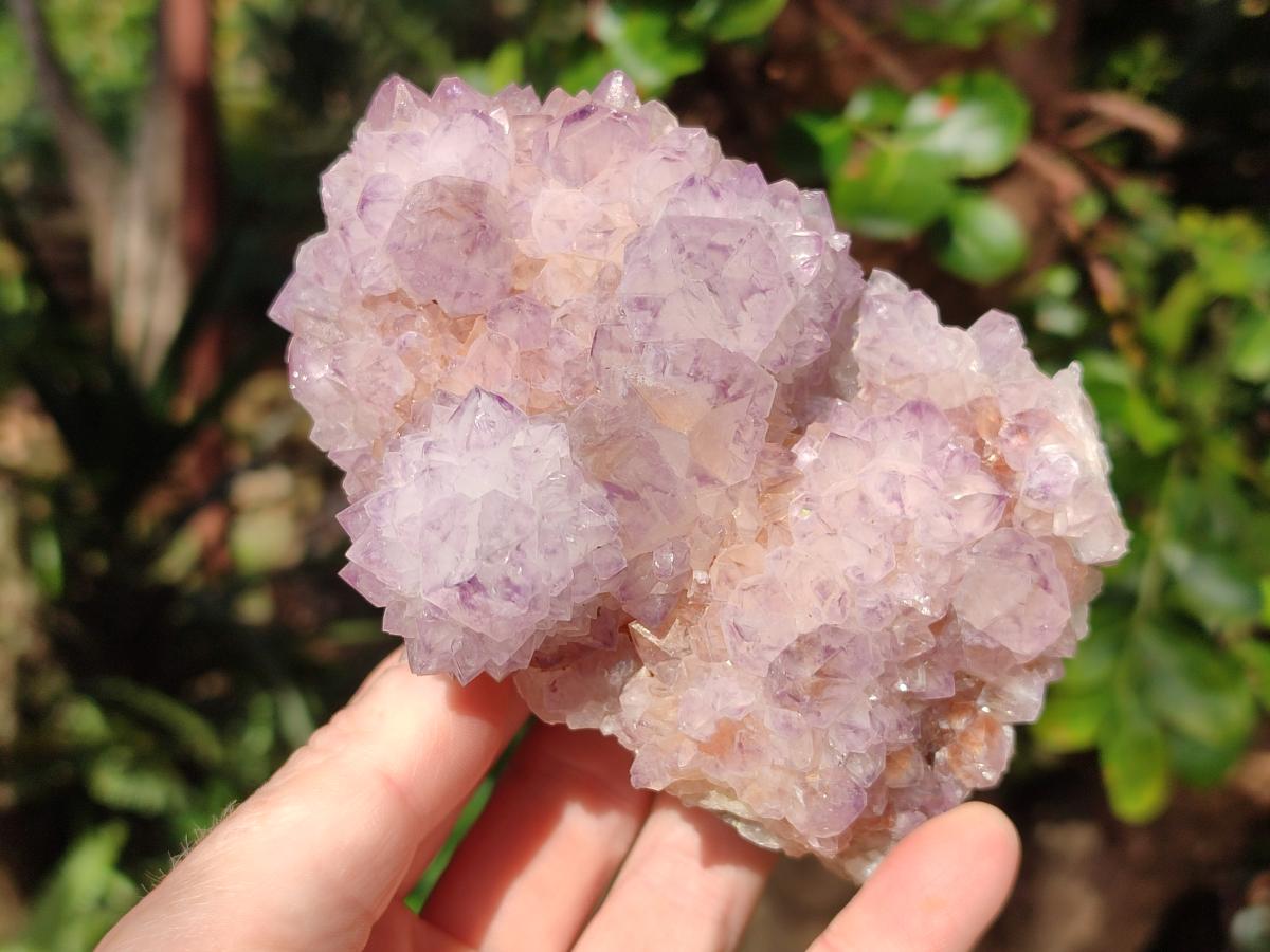 Natural Cabinet Spirit Amethyst Clusters x 2 From Boekenhouthoek, South Africa - Toprock Gemstones and Minerals 