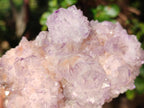 Natural Cabinet Spirit Amethyst Clusters x 2 From Boekenhouthoek, South Africa - Toprock Gemstones and Minerals 