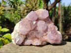 Natural Cabinet Spirit Amethyst Clusters x 2 From Boekenhouthoek, South Africa - Toprock Gemstones and Minerals 