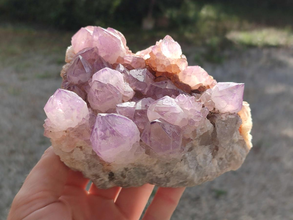 Natural Cabinet Spirit Amethyst Clusters x 2 From Boekenhouthoek, South Africa - Toprock Gemstones and Minerals 