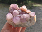 Natural Cabinet Spirit Amethyst Clusters x 2 From Boekenhouthoek, South Africa - Toprock Gemstones and Minerals 