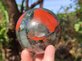Polished Bloodstone Spheres x 2 From Swaziland - Toprock Gemstones and Minerals 