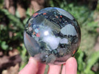 Polished Bloodstone Spheres x 2 From Swaziland - Toprock Gemstones and Minerals 