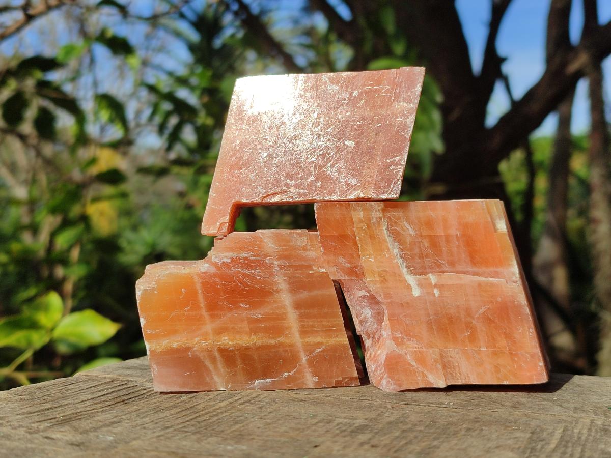 Natural Rhombohedral Sunset Orange Calcite Specimens x 6 From Spitzkop, Namibia - Toprock Gemstones and Minerals 