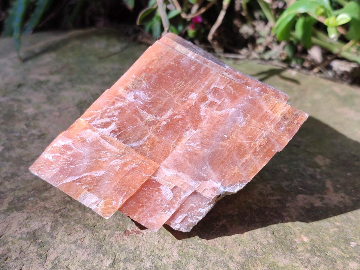 Natural Rhombohedral Sunset Orange Calcite Specimens x 6 From Spitzkop, Namibia - Toprock Gemstones and Minerals 