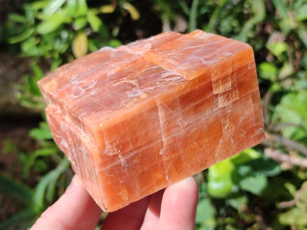 Natural Rhombohedral Sunset Orange Calcite Specimens x 6 From Spitzkop, Namibia - Toprock Gemstones and Minerals 