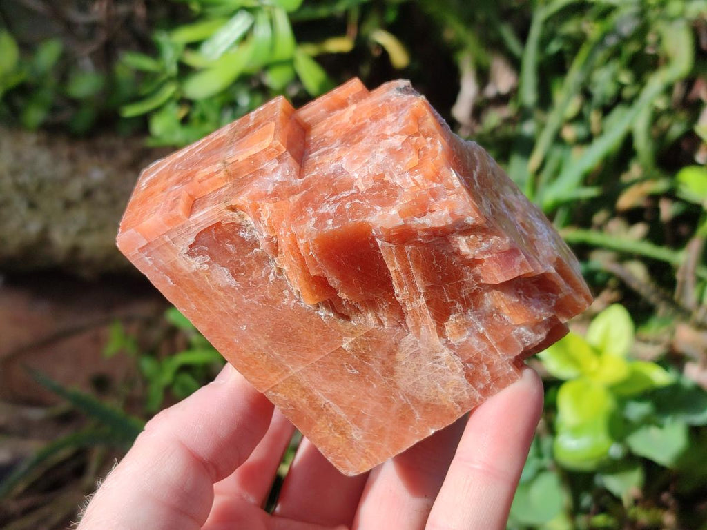 Natural Rhombohedral Sunset Orange Calcite Specimens x 6 From Spitzkop, Namibia - Toprock Gemstones and Minerals 