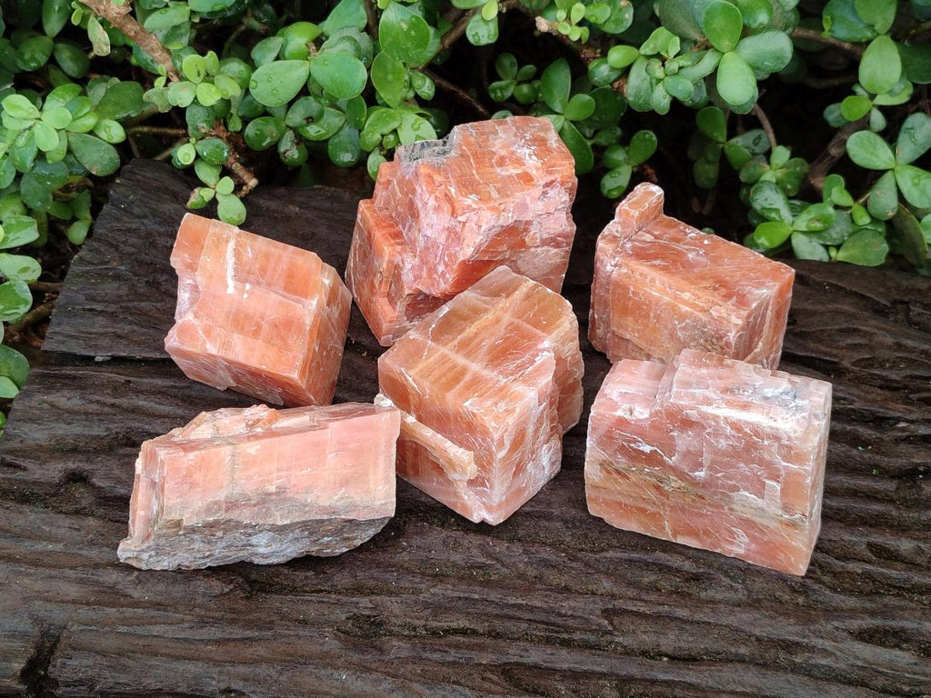 Natural Rhombohedral Sunset Orange Calcite Specimens x 6 From Spitzkop, Namibia - Toprock Gemstones and Minerals 