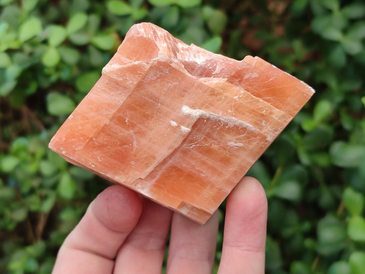 Natural Rhombohedral Sunset Orange Calcite Specimens x 6 From Spitzkop, Namibia - Toprock Gemstones and Minerals 