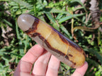 Polished Septerye Massage Wands x 6 From Mahajanga, Madagascar - Toprock Gemstones and Minerals 