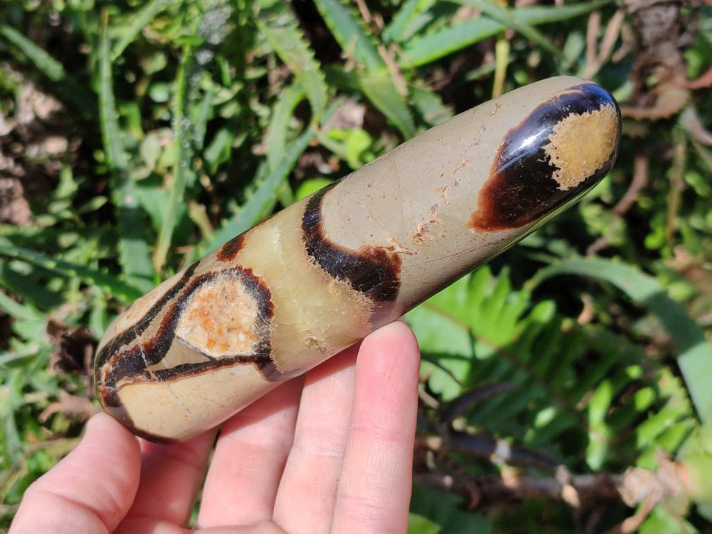 Polished Septerye Massage Wands x 6 From Mahajanga, Madagascar - Toprock Gemstones and Minerals 