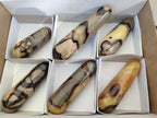 Polished Septerye Massage Wands x 6 From Mahajanga, Madagascar - Toprock Gemstones and Minerals 