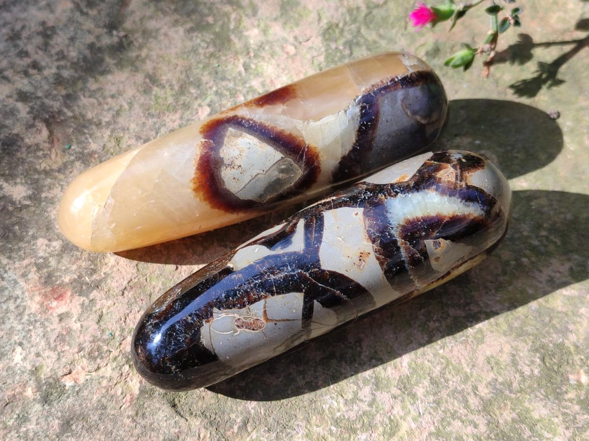 Polished Septerye Massage Wands x 6 From Mahajanga, Madagascar - Toprock Gemstones and Minerals 