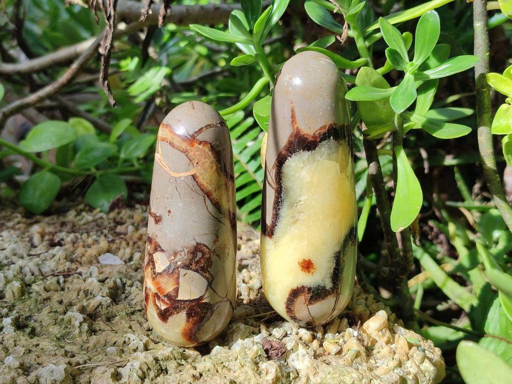 Polished Septerye Massage Wands x 6 From Mahajanga, Madagascar - Toprock Gemstones and Minerals 