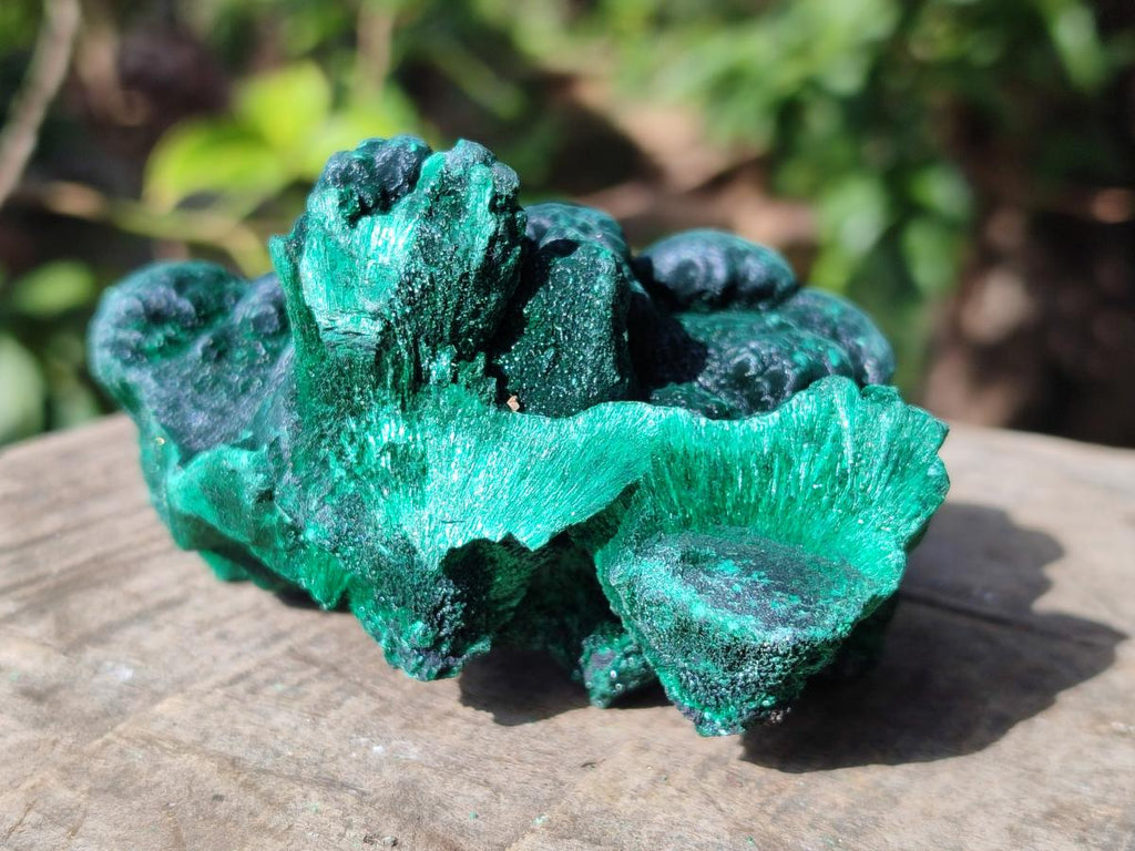 Natural Silky Malachite Specimens x 6 From Kasompe, Congo - Toprock Gemstones and Minerals 