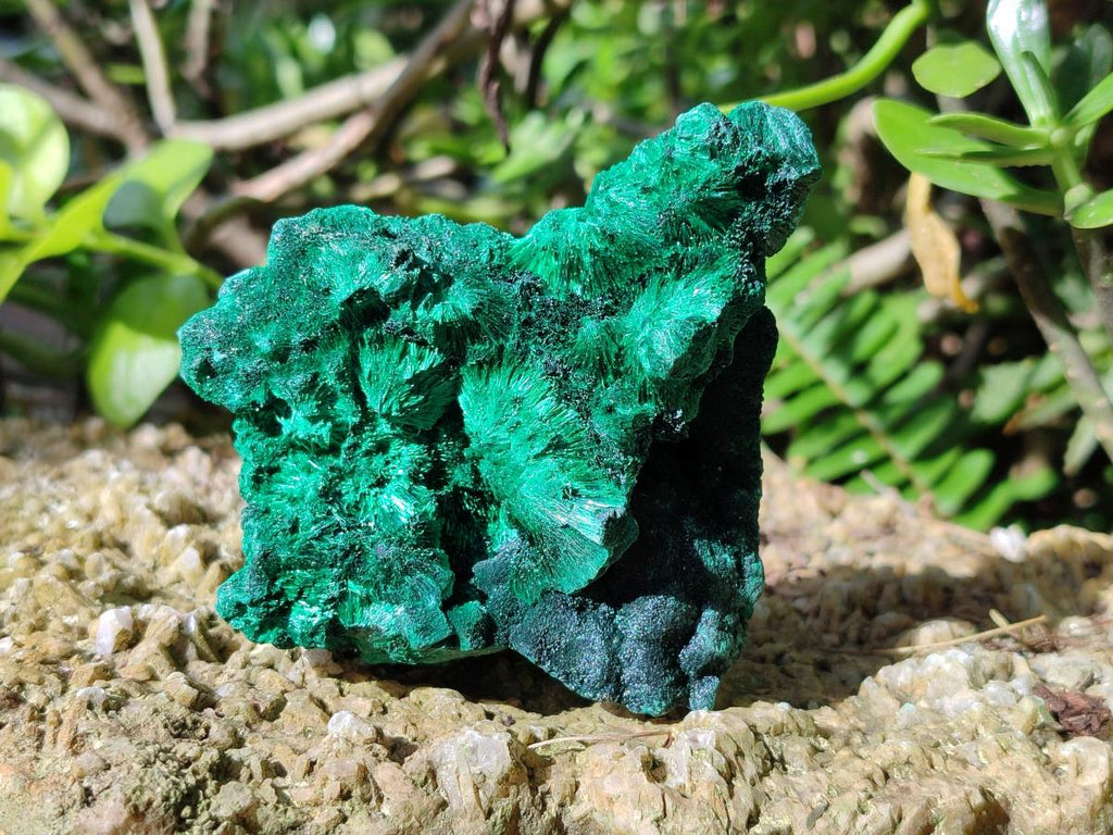 Natural Silky Malachite Specimens x 6 From Kasompe, Congo - Toprock Gemstones and Minerals 