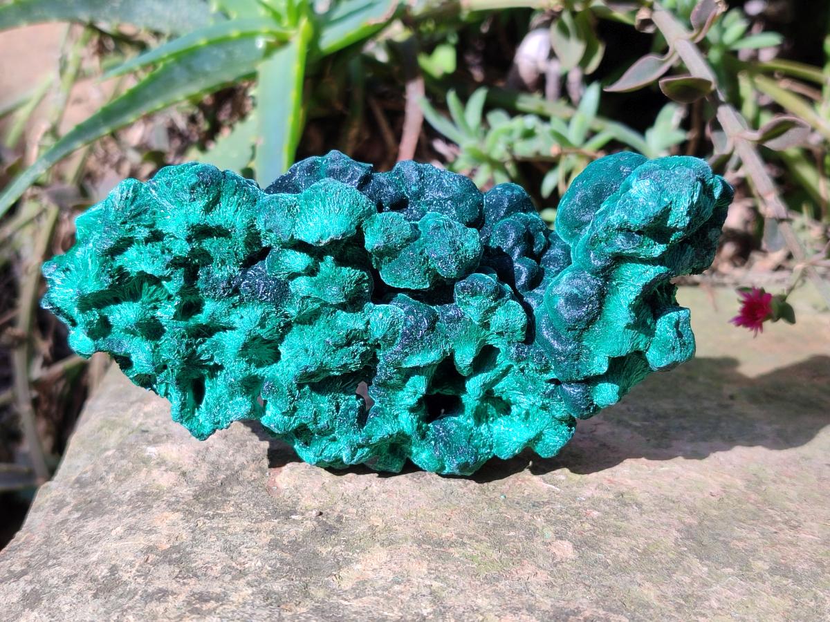 Natural Silky Malachite Specimens x 6 From Kasompe, Congo - Toprock Gemstones and Minerals 