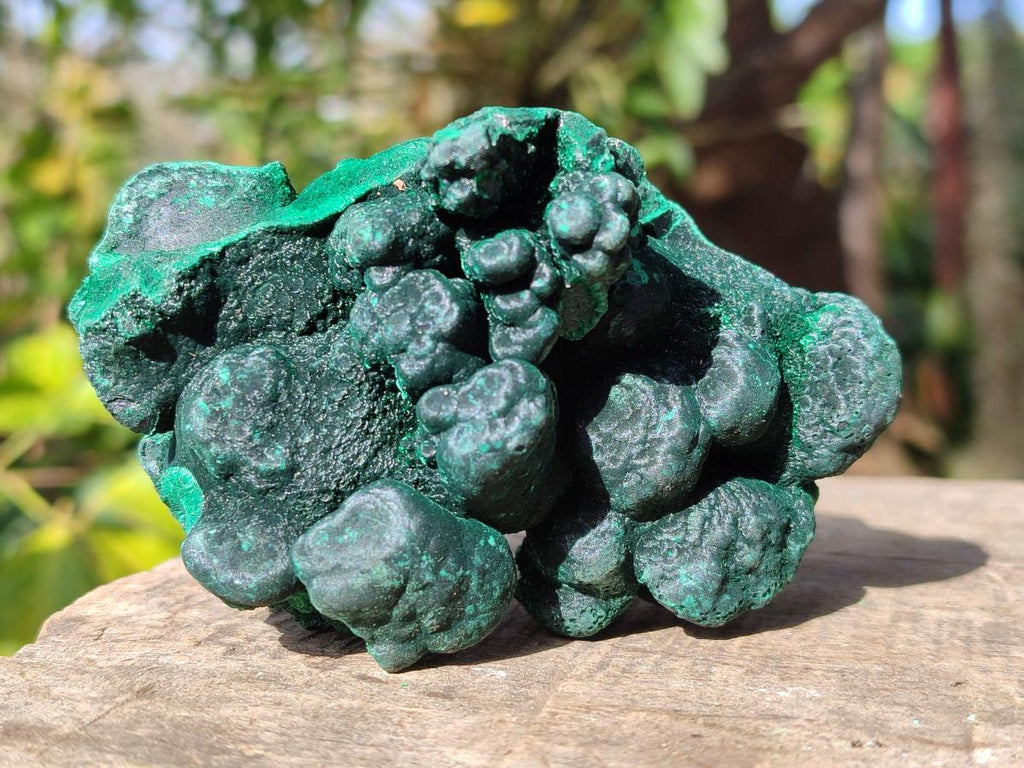 Natural Silky Malachite Specimens x 6 From Kasompe, Congo - Toprock Gemstones and Minerals 