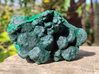 Natural Silky Malachite Specimens x 6 From Kasompe, Congo - Toprock Gemstones and Minerals 