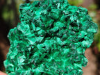 Natural Silky Malachite Specimens x 6 From Kasompe, Congo - Toprock Gemstones and Minerals 