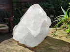 Natural XL Cascading Castle Quartz Crystal x From Madagascar - Toprock Gemstones and Minerals 