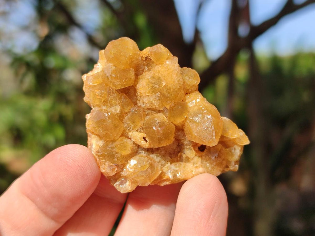 Natural Golden Limonite Quartz Clusters x 35 From Solwezi, Zambia - Toprock Gemstones and Minerals 