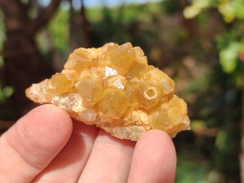Natural Golden Limonite Quartz Clusters x 35 From Solwezi, Zambia - Toprock Gemstones and Minerals 