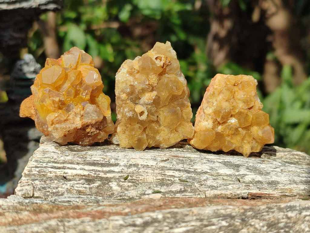 Natural Golden Limonite Quartz Clusters x 35 From Solwezi, Zambia - Toprock Gemstones and Minerals 
