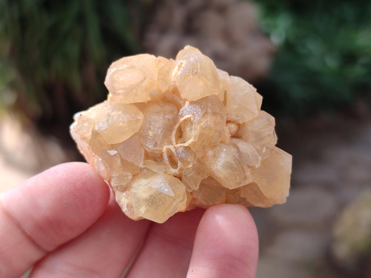 Natural Golden Limonite Quartz Clusters x 35 From Solwezi, Zambia - Toprock Gemstones and Minerals 