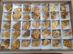 Natural Golden Limonite Quartz Clusters x 35 From Solwezi, Zambia - Toprock Gemstones and Minerals 