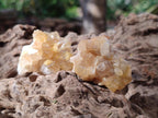 Natural Golden Limonite Quartz Clusters x 35 From Solwezi, Zambia - Toprock Gemstones and Minerals 