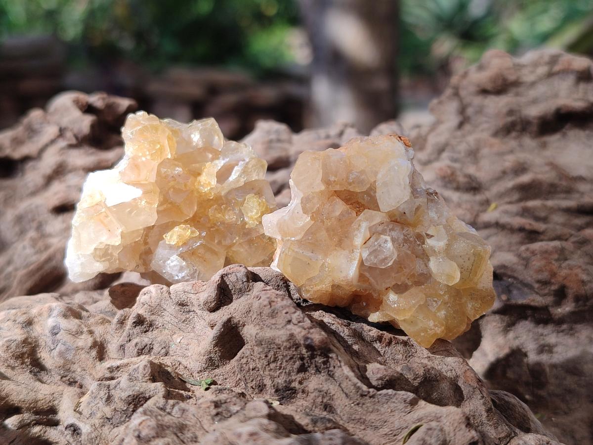 Natural Golden Limonite Quartz Clusters x 35 From Solwezi, Zambia - Toprock Gemstones and Minerals 