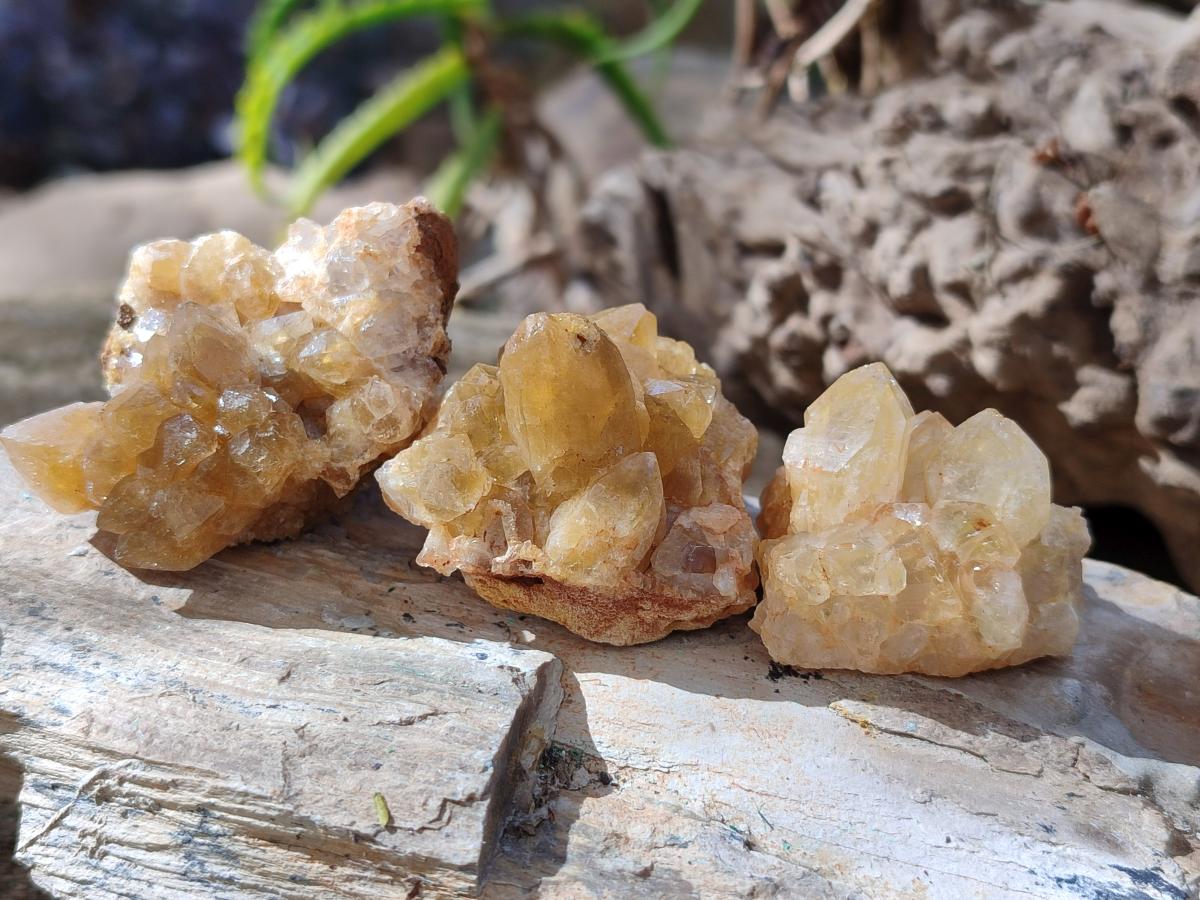 Natural Golden Limonite Quartz Clusters x 35 From Solwezi, Zambia - Toprock Gemstones and Minerals 