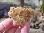 Natural Golden Limonite Quartz Clusters x 35 From Solwezi, Zambia - Toprock Gemstones and Minerals 