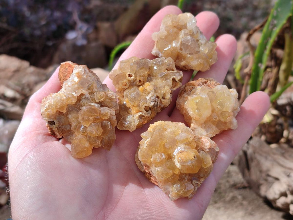 Natural Golden Limonite Quartz Clusters x 35 From Solwezi, Zambia - Toprock Gemstones and Minerals 