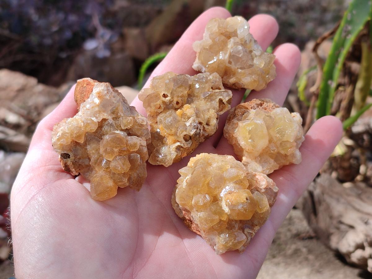Natural Golden Limonite Quartz Clusters x 35 From Solwezi, Zambia - Toprock Gemstones and Minerals 