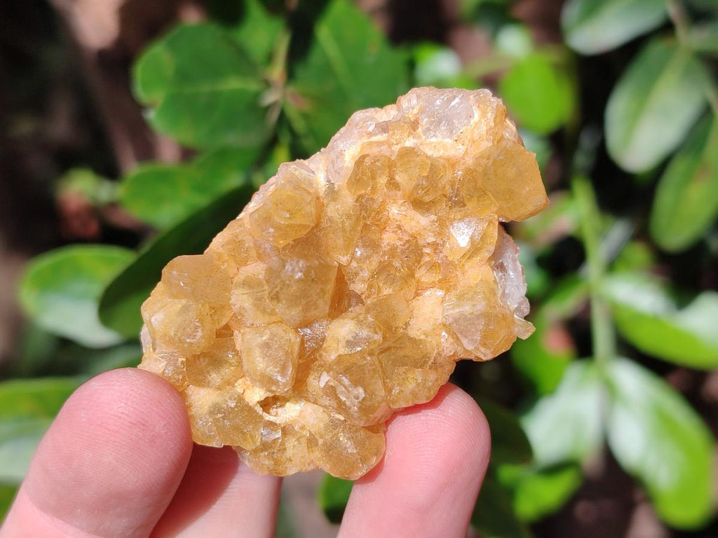 Natural Golden Limonite Quartz Clusters x 35 From Solwezi, Zambia - Toprock Gemstones and Minerals 