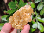 Natural Golden Limonite Quartz Clusters x 35 From Solwezi, Zambia - Toprock Gemstones and Minerals 