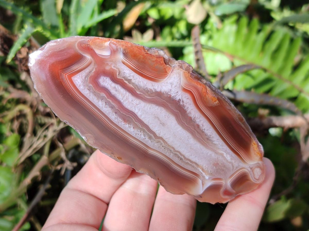 Polished One Side Red Shashe River Agate Nodules x 6 From Shashe River, Zimbabwe - Toprock Gemstones and Minerals 