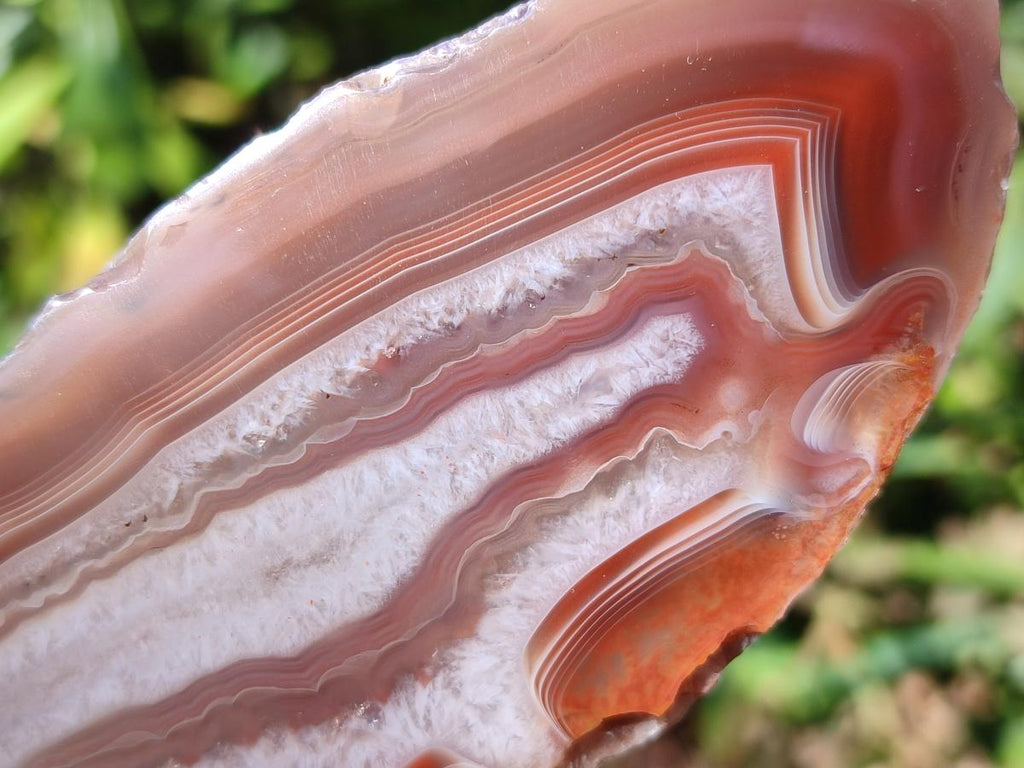 Polished One Side Red Shashe River Agate Nodules x 6 From Shashe River, Zimbabwe - Toprock Gemstones and Minerals 